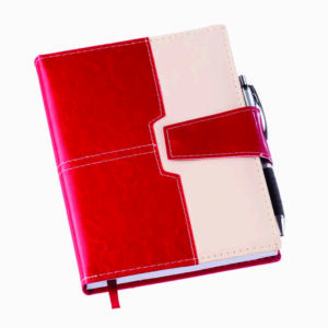 Agenda Executiva para Personalizar